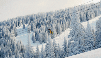 A snowy mountain slope with pine trees, a cable car or ski lift passing through, and a bright overcast sky.
