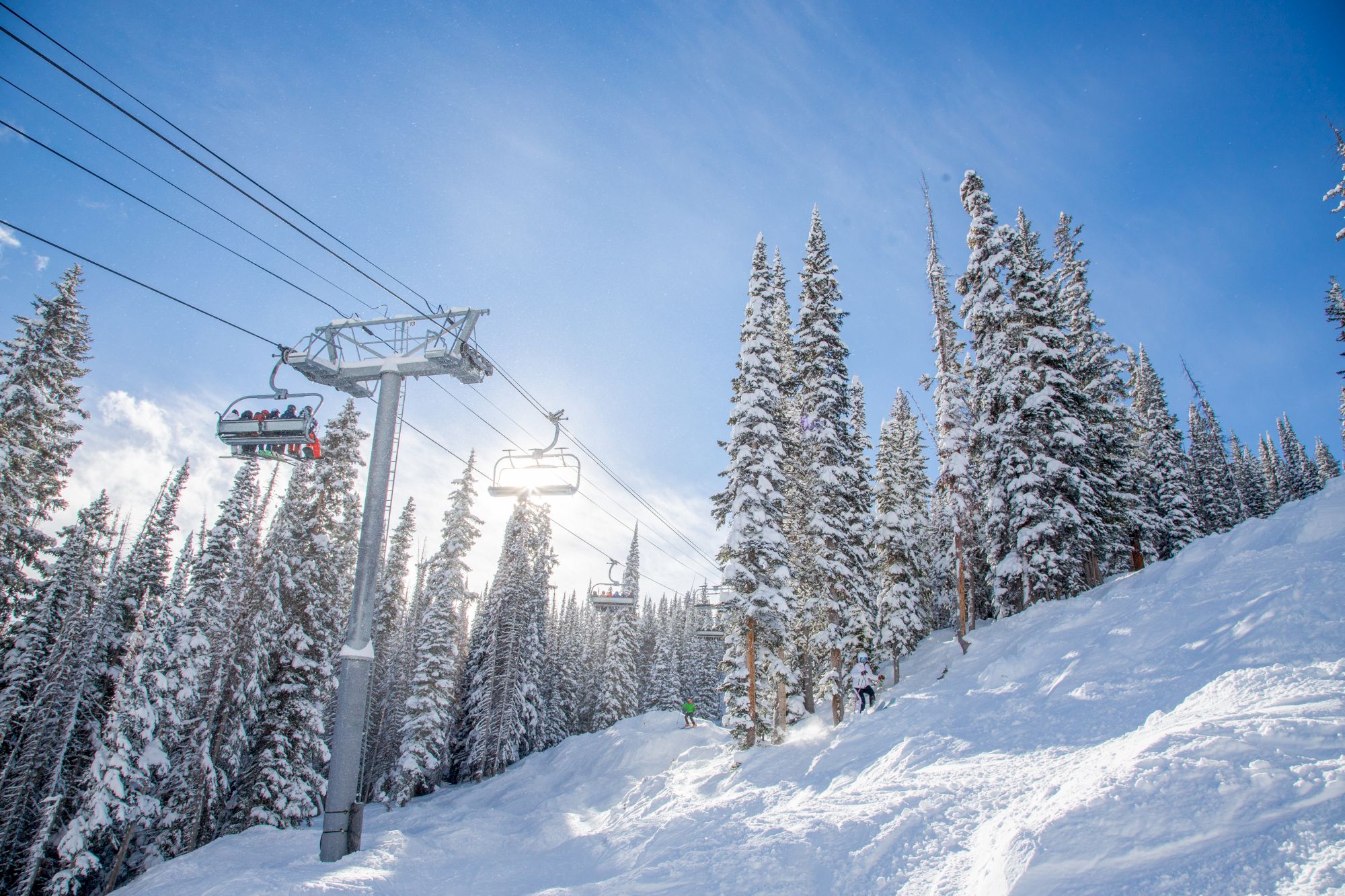 Snowy mountain scene with tall evergreen trees, a ski lift, and powdery slopes under a clear blue sky.