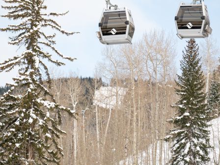Two gondola chairs glide over a snowy forest, suspended by cables, as tall evergreen trees dusted in snow rise beneath them.